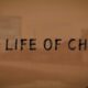 The Life Of Chuck