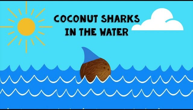 Coconut Sharks In The Water
