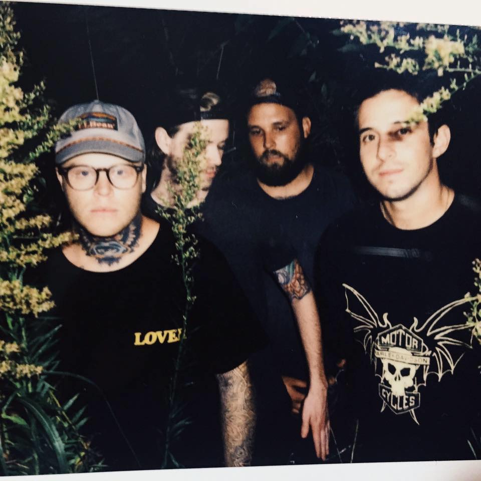 hundredth-announce-special-rare-december-tour