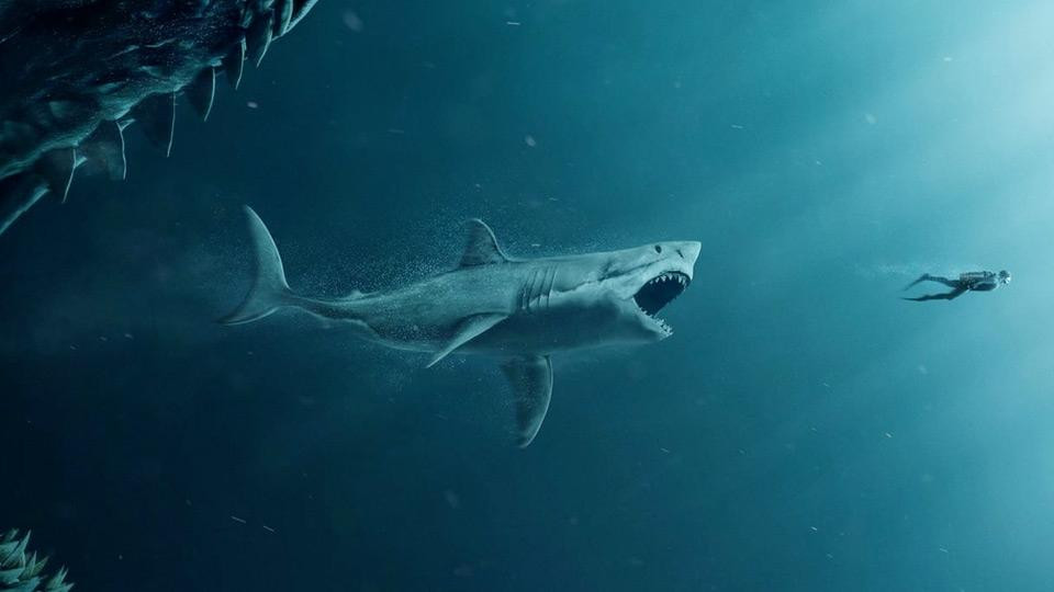 the-meg